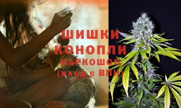 молекула духа Елабуга