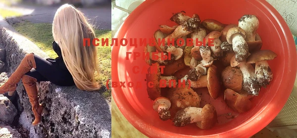 прущая мука Дмитров