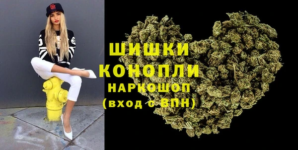 прущие грибы Дмитриев