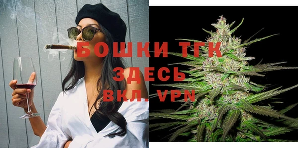 молекула духа Елабуга