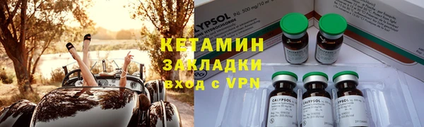 прущие грибы Дмитриев