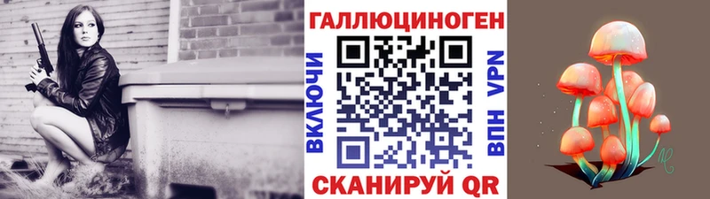 Купить где  Пролетарск  Галлюциногенные грибы мицелий 