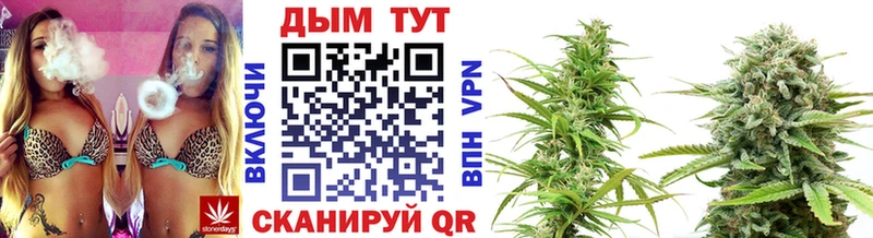 Купить где  Пролетарск  Бошки Шишки планчик 